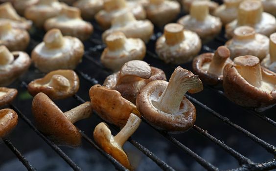 White and shiitake mushrooms on grill