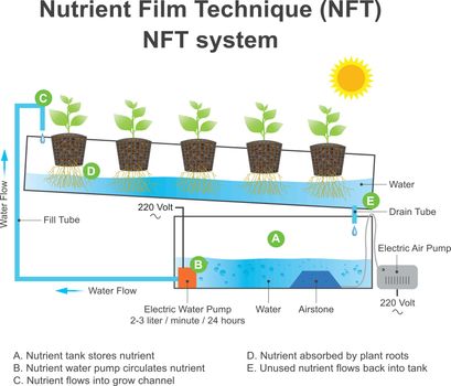 Nutrient film technique is a hydroponic technique. Education inf