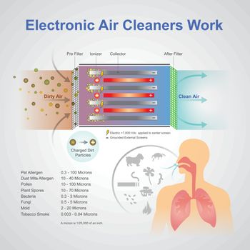 Electronic air cleaner work