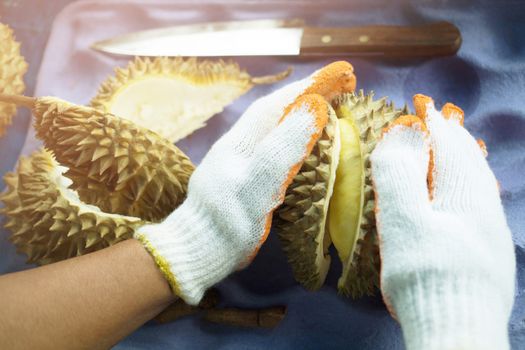 The vendors are peeling durian in the market.