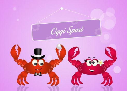 Wedding of crabs