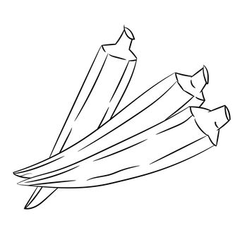 Okra, Lady's Finger Cartoon - Line Drawn Vector