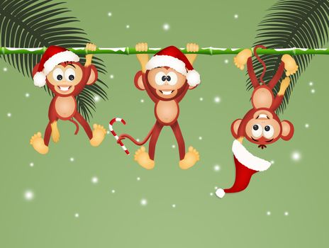 monkeys on liana at Christmas