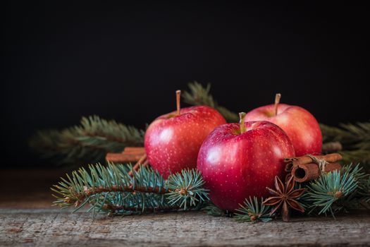 Christmas apples with cinnamon and badyan with branches of Christmas-tree