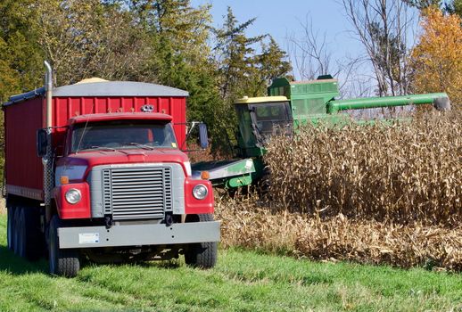 Midwest corn harvest