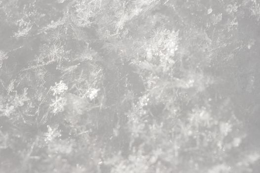 snowflakes close-up, natural background in natural conditions