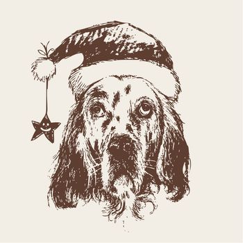 English setter dog with santa claus hat hand drawn , use for christmas background