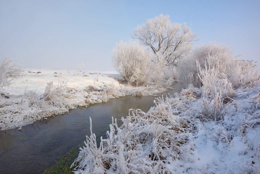 Frosty winter trees on countryside
