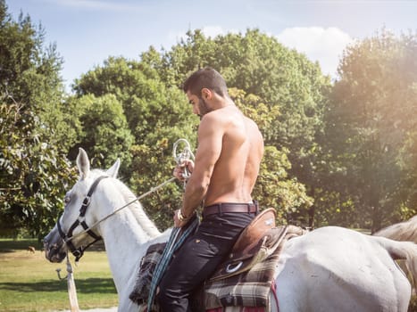 Sexual shirtless man on horse