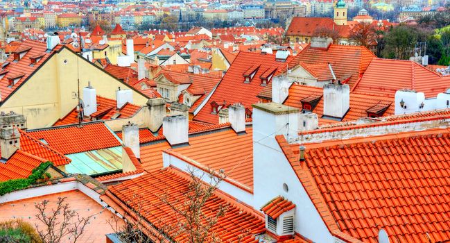 Old red roofs in Prague