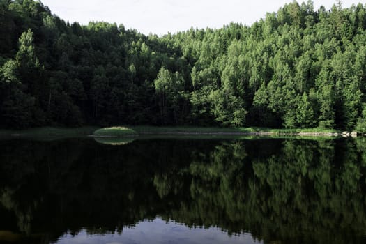 Broad-leaved Trees Reflecting in Water, Sweden.