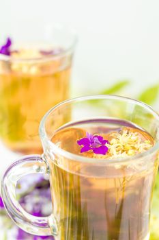 Linden herbal tea in a transparent grog glass with a linden blos