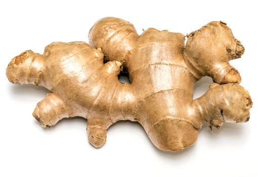 Ginger Root Representing Spiced Ingredients And Spices