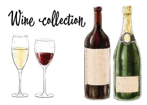 Two bottles of wine with two glasses isolated on white background. Wine collection. Vector illustration.