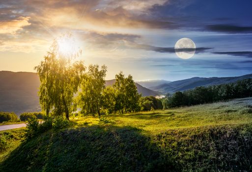 time change concept over the trees on grassy hill in mountains. lovely nature scenery with sun and moon