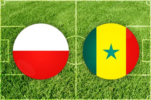 Poland vs Senegal football match
