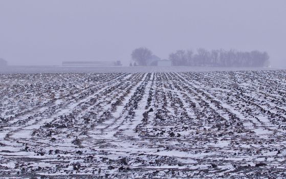 Blizzard Plowed Field