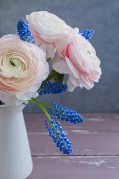 Pink Ranunculus and blue muscari on grey background. Spring posctacrd concept.