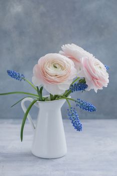 Pink Ranunculus and blue muscari on grey background. Spring posctacrd concept.