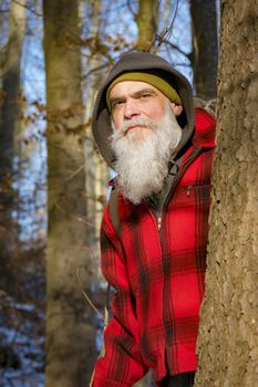 a gray bearded lumberjack in the woods