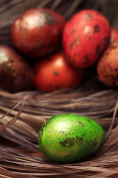 Colorful Speckled Easter Egg close up