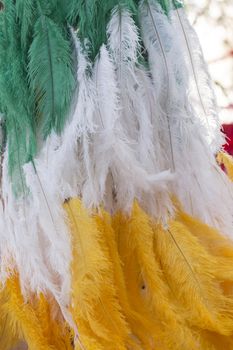 Colorful feathers of Carnival suit