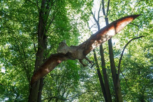 prehistoric flying dinosaur Pteranodon in nature