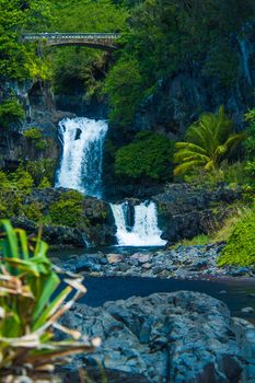 Waterfall scene on Maui
