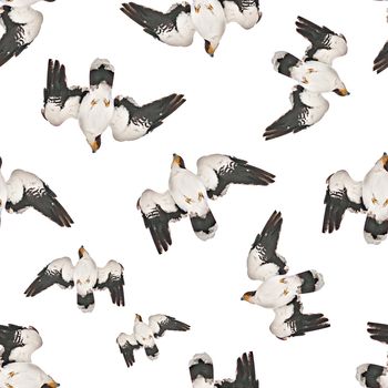 Conversational seamless pattern with real photo birds collage motif design.