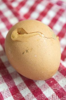 fresh egg with broken shell