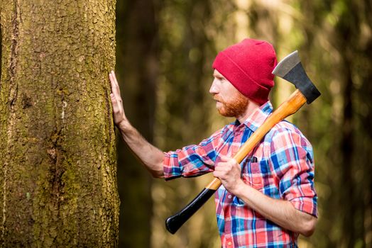 caring bearded forester with topping touches tree bark