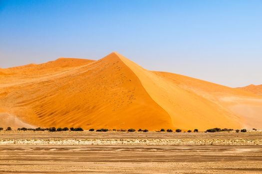 Landscape with red dunes of Namib Desert, Namib-Naukluft National Park, Namibia, Africa