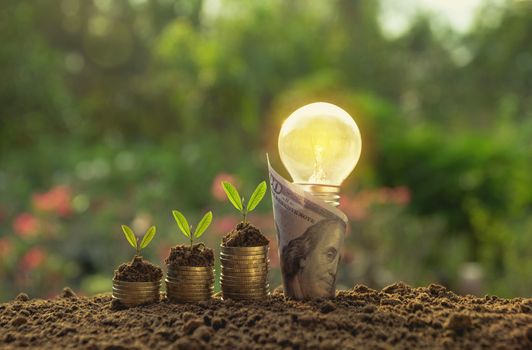 Energy saving light bulb and tree growing with banknote on natur