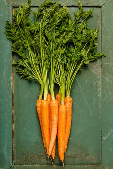 fresh carrot bunch