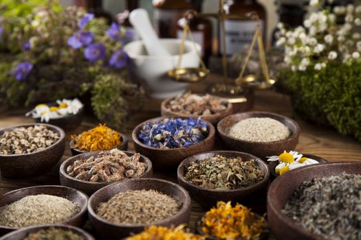 Healing herbs on wooden table, mortar and herbal medicine 