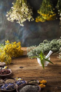 Fresh medicinal, healing herbs on wooden 