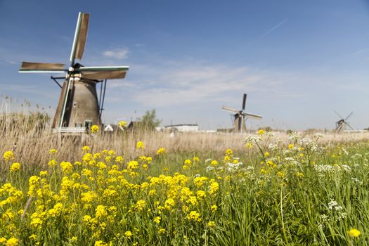 Windmill, Kinderdijk in netherlands