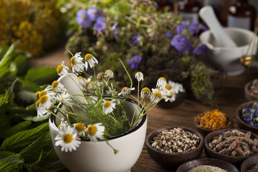 Healing herbs on wooden table, mortar and herbal medicine 