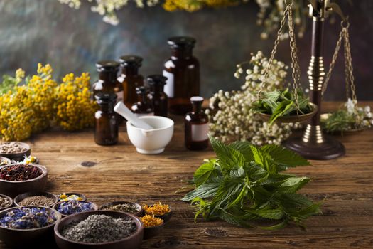 Fresh medicinal, healing herbs on wooden 