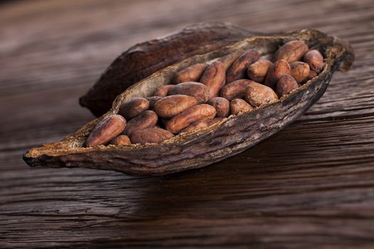 Cocoa pod on wooden table