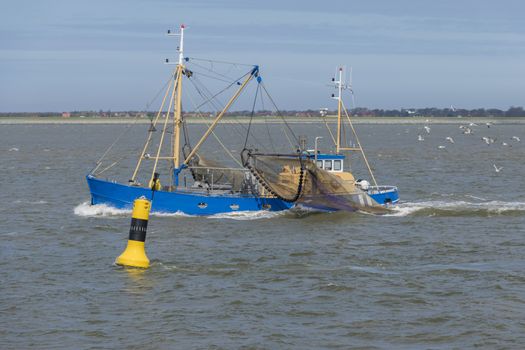 Fishing boat on the Wadden Sea near the island Ameland

