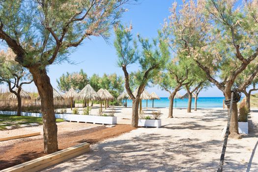 Spiaggia Terme, Apulia - Trees and sunshades at the beach