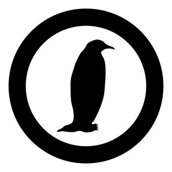 Penguin icon in round black color vector illustration