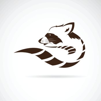 Vector of raccoon design on white background, Wild Animals, Vect