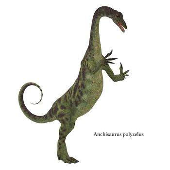 Anchisaurus Dinosaur on White