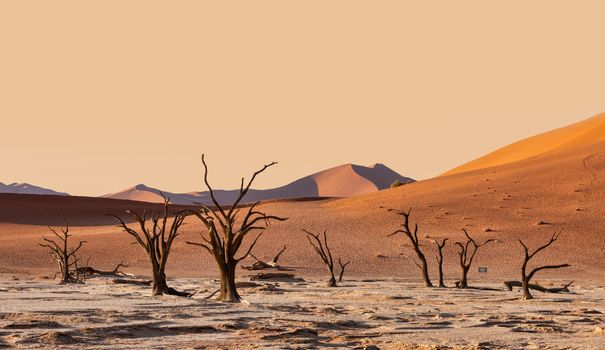 Dead Vlei landscape in Sossusvlei, Namibia