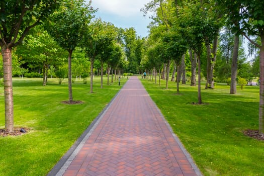 A beautiful alley in the park is paved with tiles with a green l
