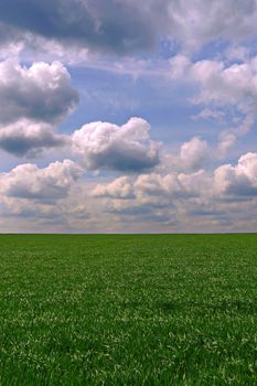 Boundless field with green grass against a blue cloudy sky background