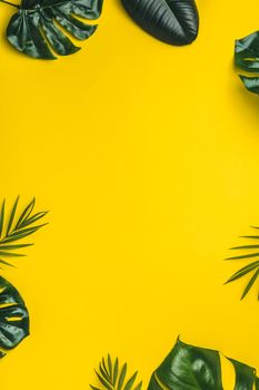 Tropical leaves on yellow background
