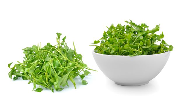 Watercress in isolated on white background